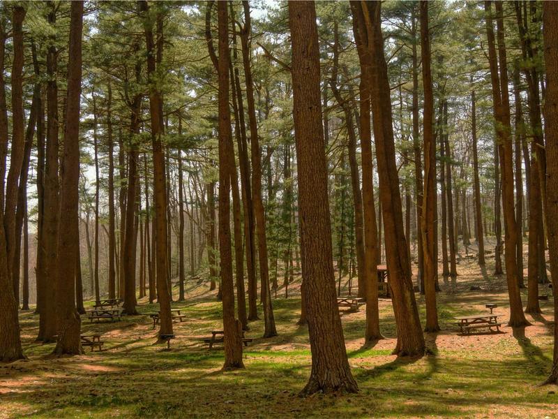 sudoku coloring method screenshot 3